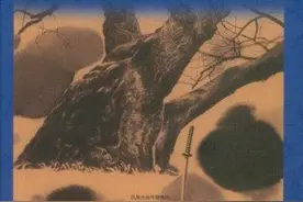 《罗生门》一个普通人的从恶历程，人性有着无可规避之恶图片