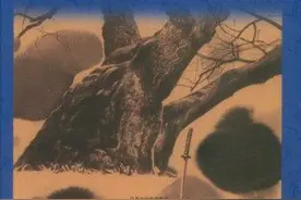 《罗生门》一个普通人的从恶历程，人性有着无可规避之恶图片
