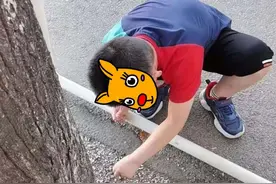 北京非典型全职妈妈：倾家荡产购入学区房，我的孩子却得了孤独症图片