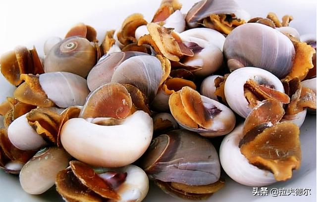 15种常见的贝壳类海鲜，你见过几种？绝大多数人只见过2~3种