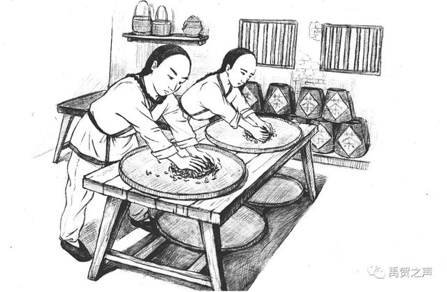 六堡茶丨可以喝的古董：一半是茶，一半是药