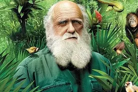 进化论的“软肋”：5亿多年前，地球上为何会突然出现大量物种？图片