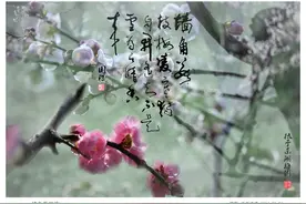 《钟国琛摄影作品》——梅花篇 （6——下）图片