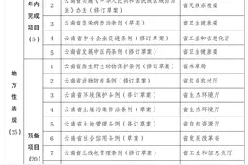云南省人民政府办公厅关于印发云南省人民政府2020年立法工作计划的通知图片