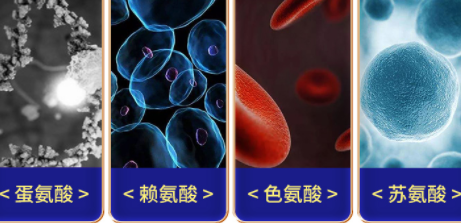 养猪如何降本增效？选择优质的饲料添加剂是关键