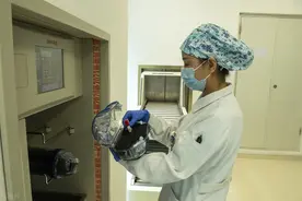 我，三甲医院的主任医师，揭秘退休后享受什么待遇，拿多少退休金图片
