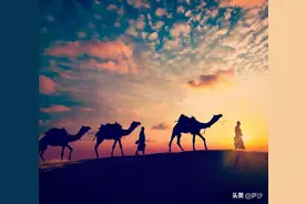 为何古代罗马、希腊、阿塞拜疆等国称中国为秦国？萨沙问答第53集图片
