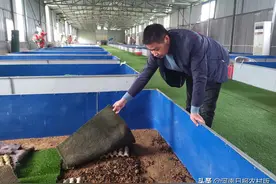 “蜈蚣哥”经营“毒产品”！沈丘好人赵振伟和他的扶贫车间图片