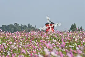 广西“双创”助推旅游产业转型升级图片