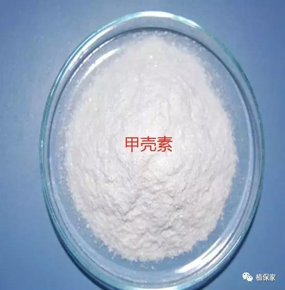 骗局？腐殖酸、海藻酸、甲壳素、鱼蛋白、氨基酸性能作用不一样