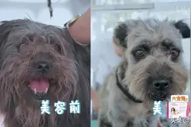 9.8，这才是猛男该看的片图片