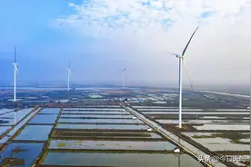 发力！湖北天门这个镇跃上新台阶！图片