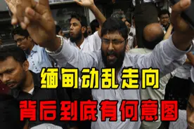 小组织大放厥词，缅甸背后哪国之手在操控？揭秘缅甸背后的真相图片