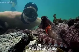 豆瓣9.3！这部纪录片，也太神奇了图片