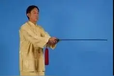 陈正雷老师陈氏太极单剑(图文)教程：第三十六式 白蛇吐信图片