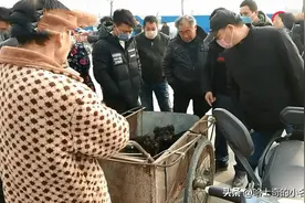 大爷带来四只德牧到狗市，200块一条，但是没有人敢买图片