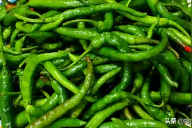 腌辣椒，还是老一辈的方法好，老妈用30年的秘方，既简单又特别香图片