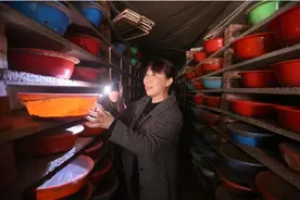 90后夫妻1间空房2人操作养蜗牛，0.5平方养130只，一年收入10多万图片