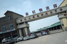 大蒜交易黑天鹅，大蒜市场封闭，引发大蒜价格波动，蒜农怎么办？图片