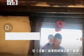象群闯入民宅户主爬房顶避险，社区：已通知撤离，其抱侥幸心理图片