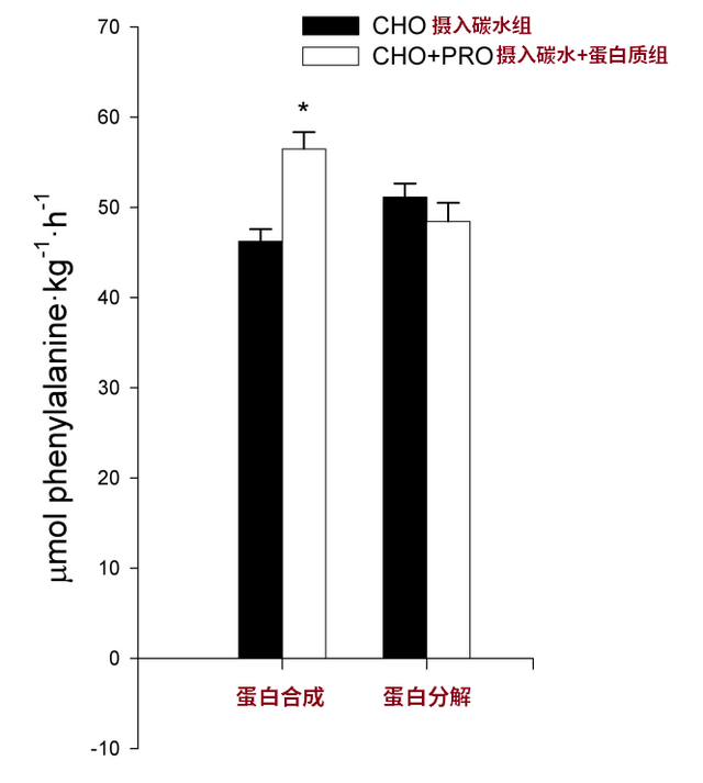 不健身直接吃蛋白粉会怎么样？