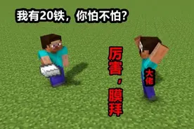 盘点MC中的5个神梗，20铁的传奇故事！图片