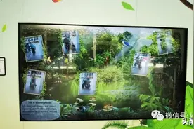 解锁新加坡遛娃宝藏地：世界遗产植物园之儿童乐园图片