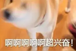 在家轰趴怎么玩？小布送上私藏“神器”，秒变欢乐主人！图片