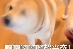 在家轰趴怎么玩？小布送上私藏“神器”，秒变欢乐主人！图片