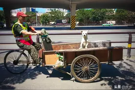 它叫倒骑驴 是一种倒着骑的三轮车 有人靠它买了房图片