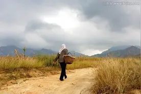 乡土散文：大姨图片