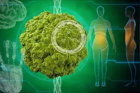 除了性生活，HPV还有可能通过这几种方式传染到你图片