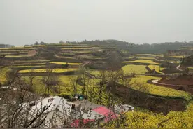 河南省文化和旅游厅党组书记宋丽萍一行调研新密市乡村旅游和公共文化服务工作图片