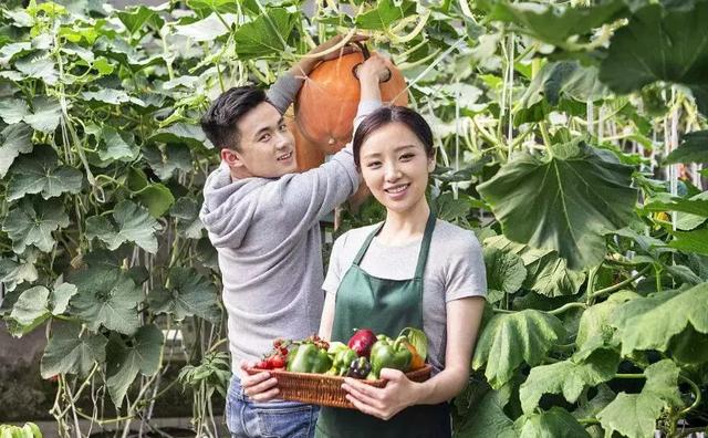 EDTA、糖醇、鳌合、络合…这些都是啥？为什么标上它价钱就高了？