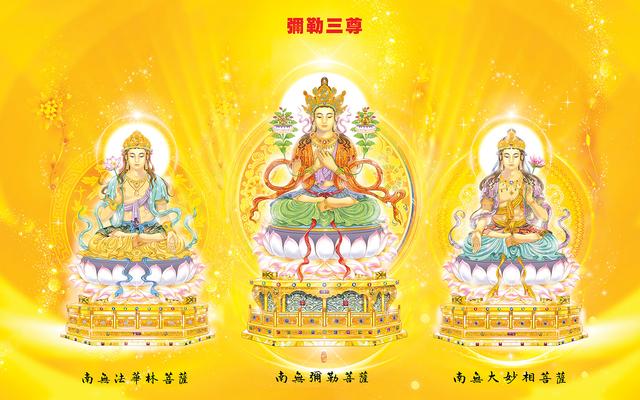 众生金手指破解版（斩断妄念的根）