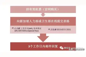 个人申请从新加坡飞回中国 （详细步骤与翻译）图片