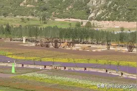 邢台太行渡口川文化景观带花乐园景区正式开门迎客图片