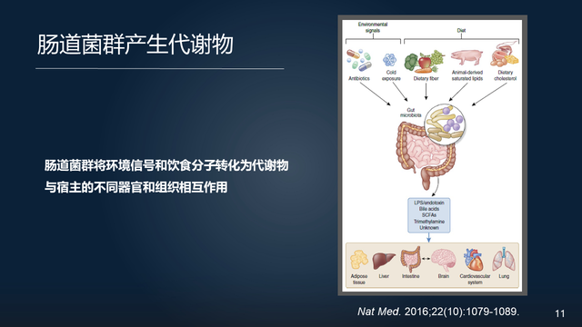 庞艳莉：22分钟详解肠道菌群与代谢疾病