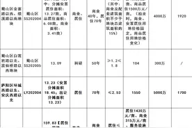 合肥9月土拍大战！新站巨无霸开卖，合肥上千亩土地集中出让图片