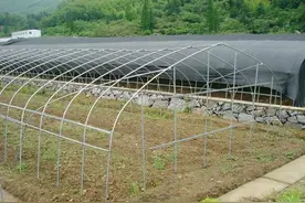 温室大棚建造容易出现的问题及留意事项图片