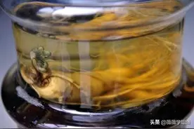 老人在路边买了一株人参回去泡酒，几个月打开酒缸后，两眼发傻图片