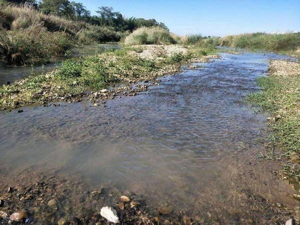 海南农业领军企业---东方嘉品源农业科技开发有限公司