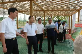 河南省总工会党组书记、常务副主席寇武江一行莅临贾湖酒业调研图片