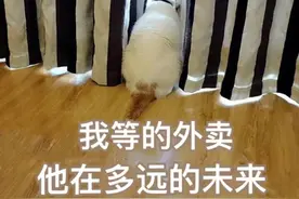 江苏淮安：外卖平台之间的battle：你要这个小黄，还是这个小蓝?图片