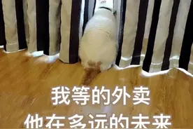 江苏淮安：外卖平台之间的battle：你要这个小黄，还是这个小蓝?图片
