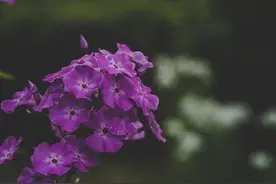 人生就是一场戏，演好自己，就够了图片