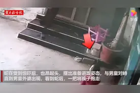 吓人！两岁娃与眼镜蛇对峙一分钟，还伸手指它！现场监控曝光图片