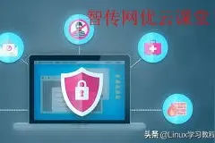 Kali Linux中的漏洞扫描工具有哪些作用？图片