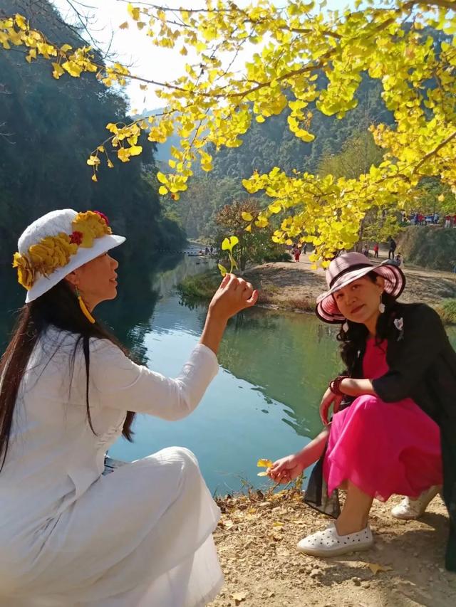 秋风吻尽银杏叶，艳遇醉美帽子峰