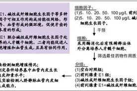 前列腺素E1联合碱性成纤维细胞生长因子干预人牙髓干细胞增殖和血管生成能力的变化图片